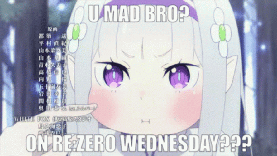 Re Zero Wednesday Smil Elilia GIF