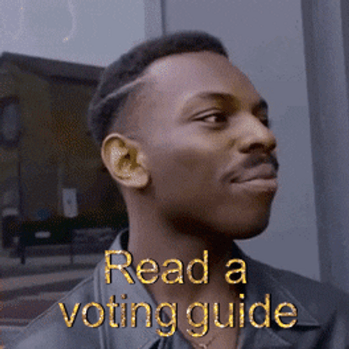 Read A Voting Guide Black Guy Meme GIF