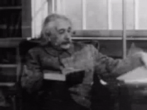Reading Book Albert Einstein GIF