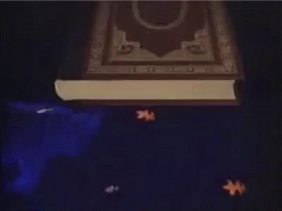 Reading Rainbow Take A Look It's In Book GIF