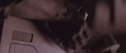 Ready Set Kill It With Fire GIF