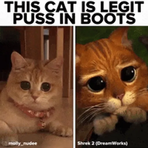 Puss In Boots Eyes