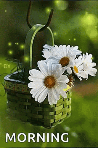 Real Floral Basket White Morning Sparkle GIF