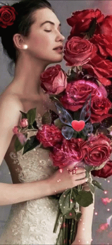 Real Floral Beautiful Roses GIF