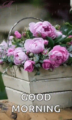Real Floral Bouquet Basket Rain Morning GIF