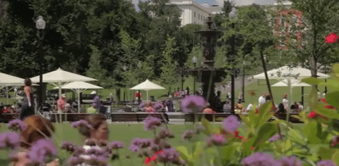 Real Floral Massachusetts Park GIF