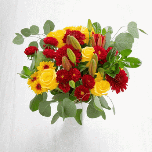 Real Floral Vase Fresh Flowers Bloom GIF
