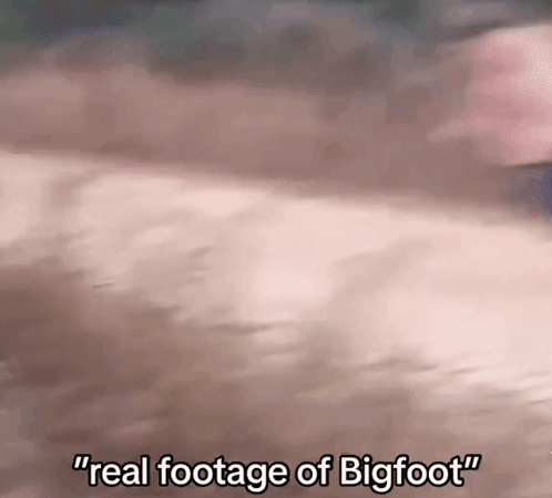 Real Footage of Bigfoot