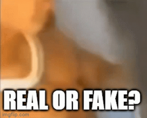 Real Or Fake GIF