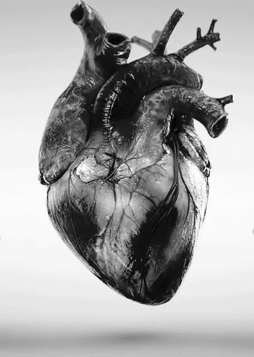 Realistic Black Heart Pumping GIF