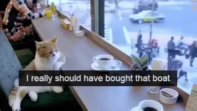 Really Should Have Bought That Boat GIF