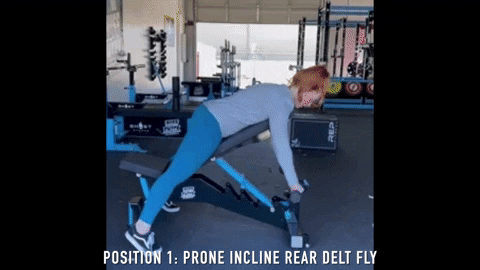 Rear Delt And Lateral Raises GIF
