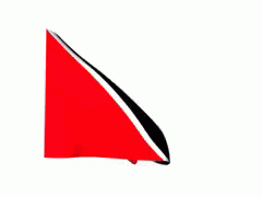 Red and Black Flag Waving in Wind
