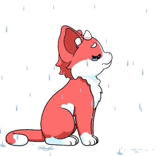 Red and White Cat in Rain Looking Up