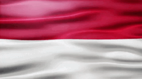 Red and White Flag Waving