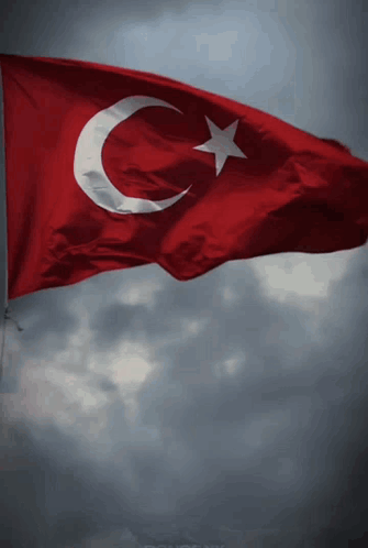 Red And White Flag With Crescent Moon And Star GIF
