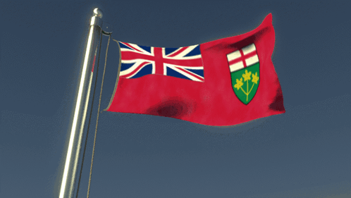 Red And White Flag With Shield GIF