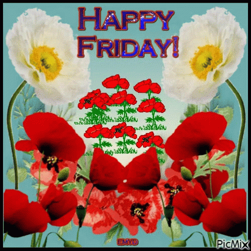 Red And White Flowers Happy Friday GIF