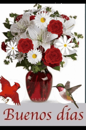 Red and White Flowers with Hummingbird and Cardinals Saying Buenos Dias