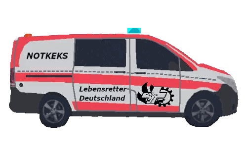 Red and White Notkes Van