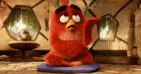Red Angry Bird Facepalm Meme GIF