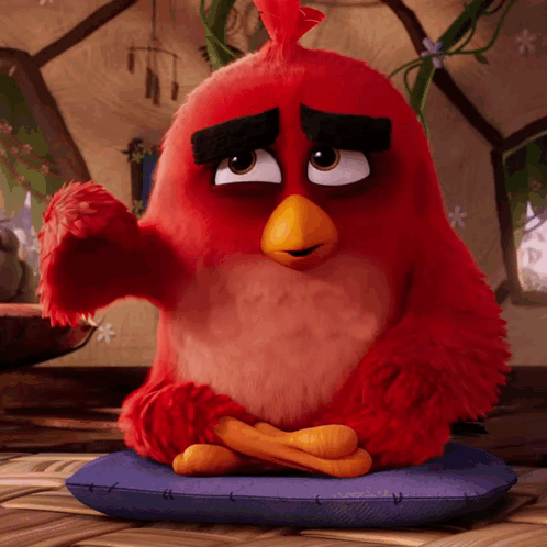 Red Angry Bird Sitting on Blue Pillow With Legs Crossed