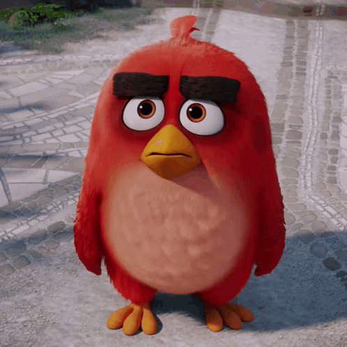 Red Angry Bird With Big Eyes and Yellow Beak on Sidewalk