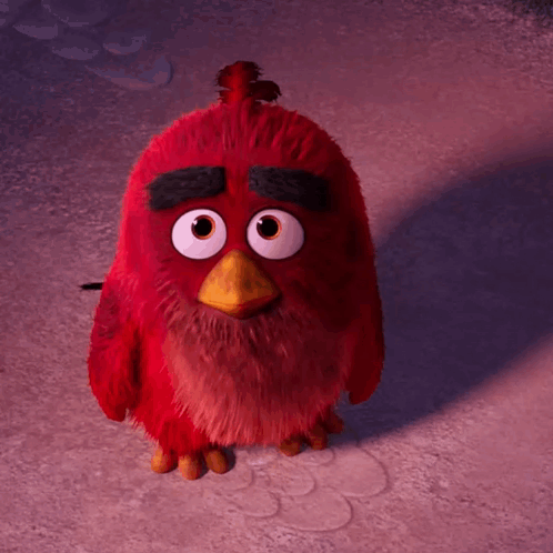 Red Angry Bird With Big Eyes and Yellow Beak Standing in Snow