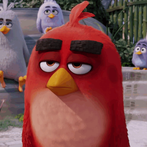 Red Angry Bird With Yellow Beak In Front Of Fence GIF