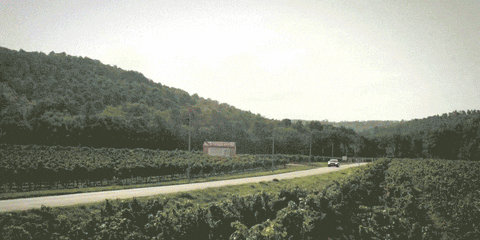 Red Audi Car Road Trip GIF