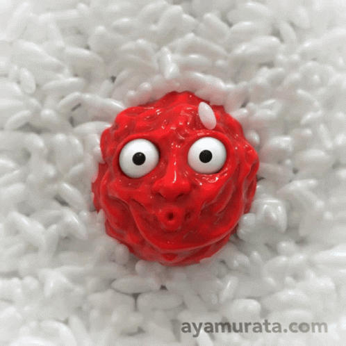 Red Ball Big Eyes in White Rice Ayamurata.com