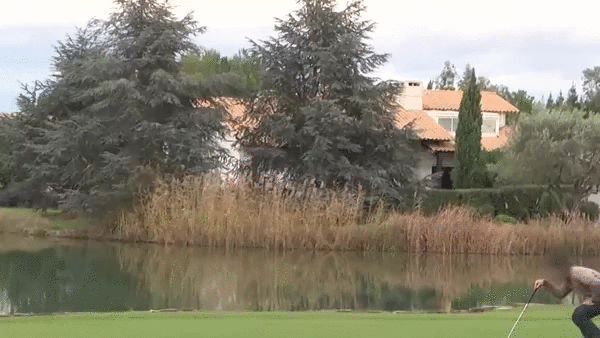 Red Balloon Golf Ball GIF