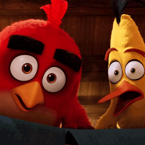 Red Bird and Yellow Bird Surprised Looking at Each Other