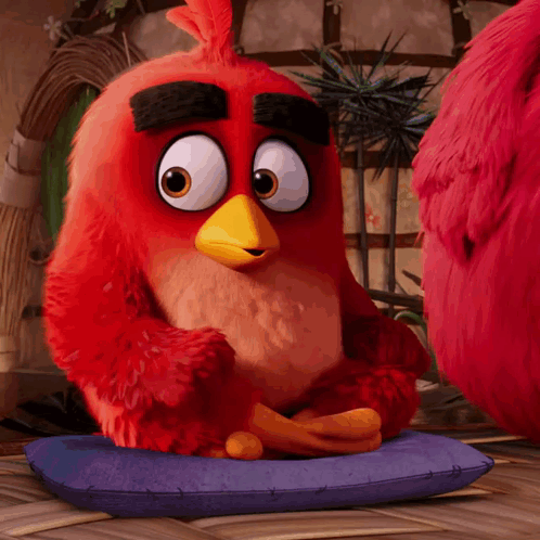 Red Bird Sitting on Blue Pillow