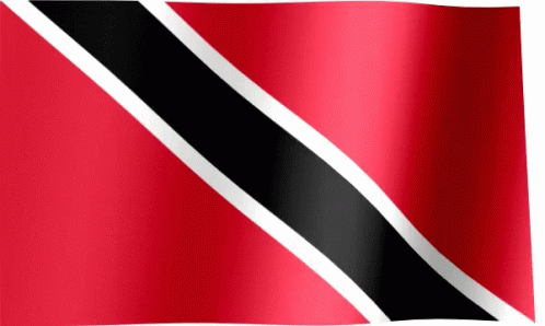 Red Black and White Flag With White Stripe