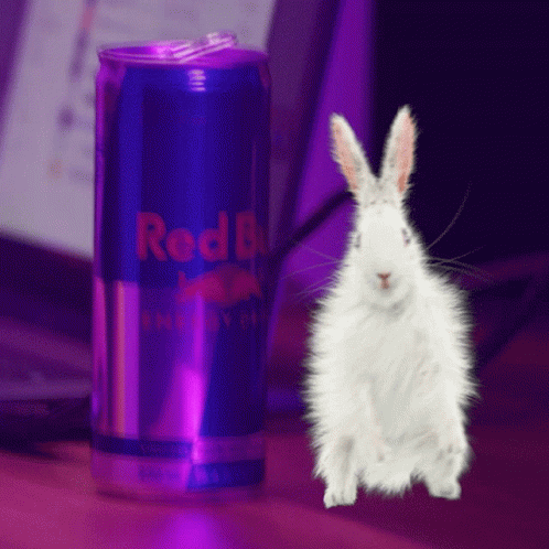 Red Bull Beside Animated White Rabbit GIF