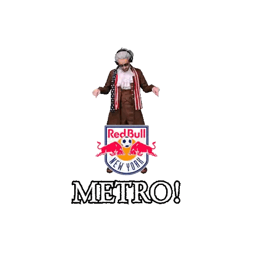 Red Bull Logo for New York Soccer Team