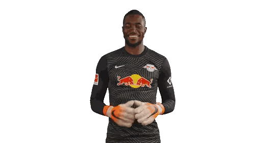 Red Bulls Soccer Player