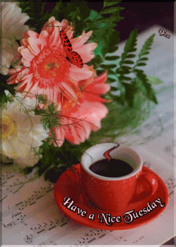 Red Butterfly Cute Tuesday GIF