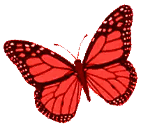 Red Butterfly With Black Spots