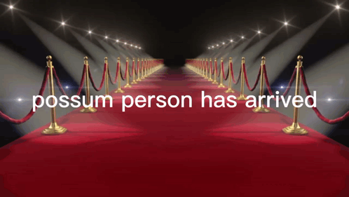 Red Carpet Possess Person Has Arrived