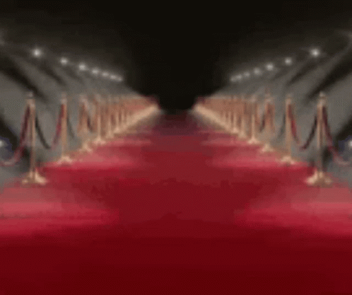 Red Carpet Saying Rollin Out That Gypsy Red Carpet GIF