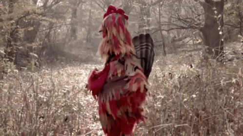 Red Chicken Standing In Forest GIF