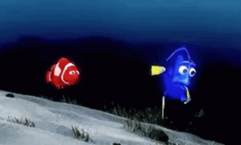 Red Clown Fish and Blue Fish Swimming