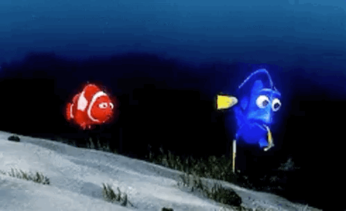 Red Clown Fish and Blue Fish Swimming