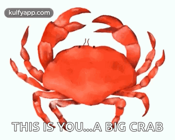 Red Crab This Is You ... A Big Crab GIF