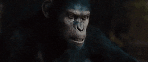 Red Dawn Planet Of The Apes GIF