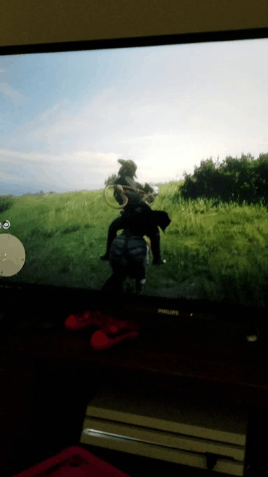 Red Dead Redemption 2 Horse GIF