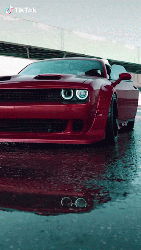 Red Dodge Challenger Parked in Puddle