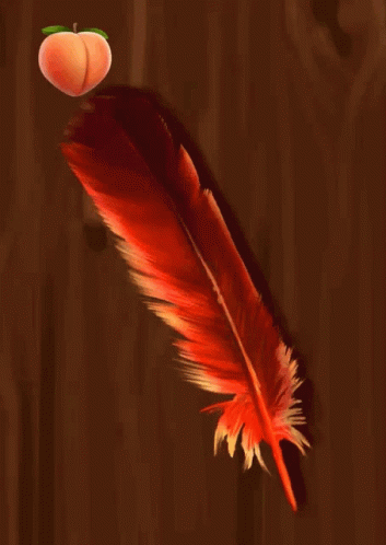 Red Feather And Orange Peach GIF